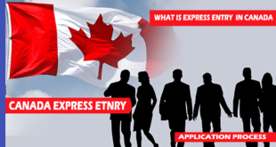 What-is-express-entry-in-Canada (1)