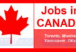 أكثر 15 وظيفة طلب في كندا